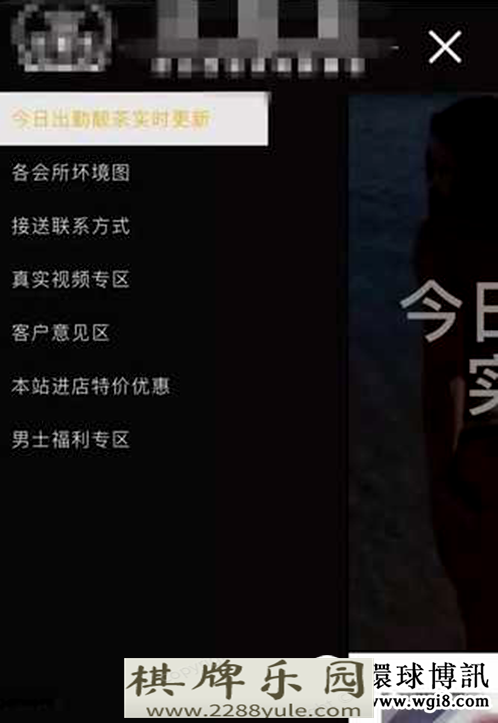 BSG电子游戏西港又有一家面向中国人的色情台上